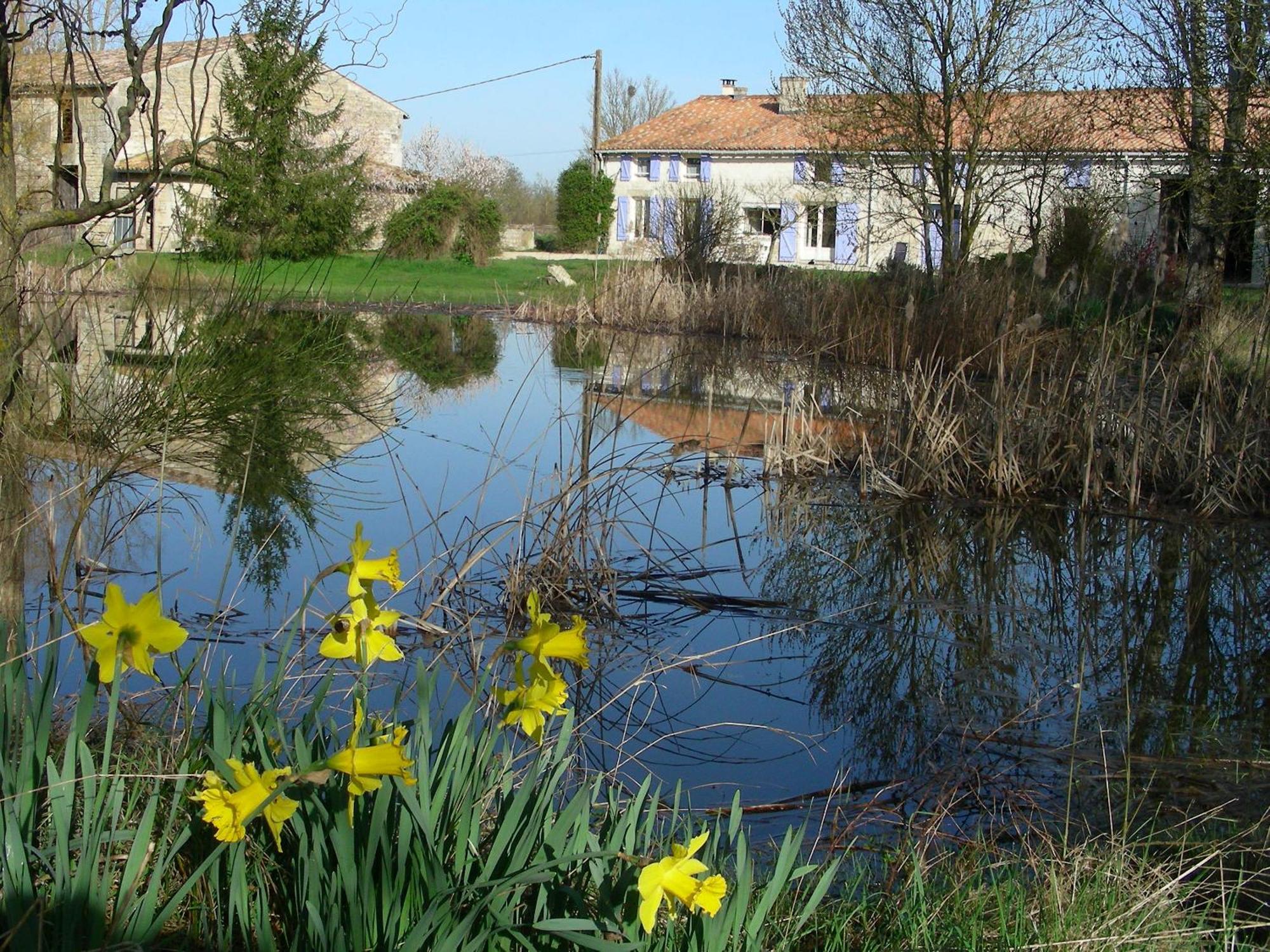 Chambres D'Hotes Entre Niort Et Marais Poitevin Bessines Eksteriør billede